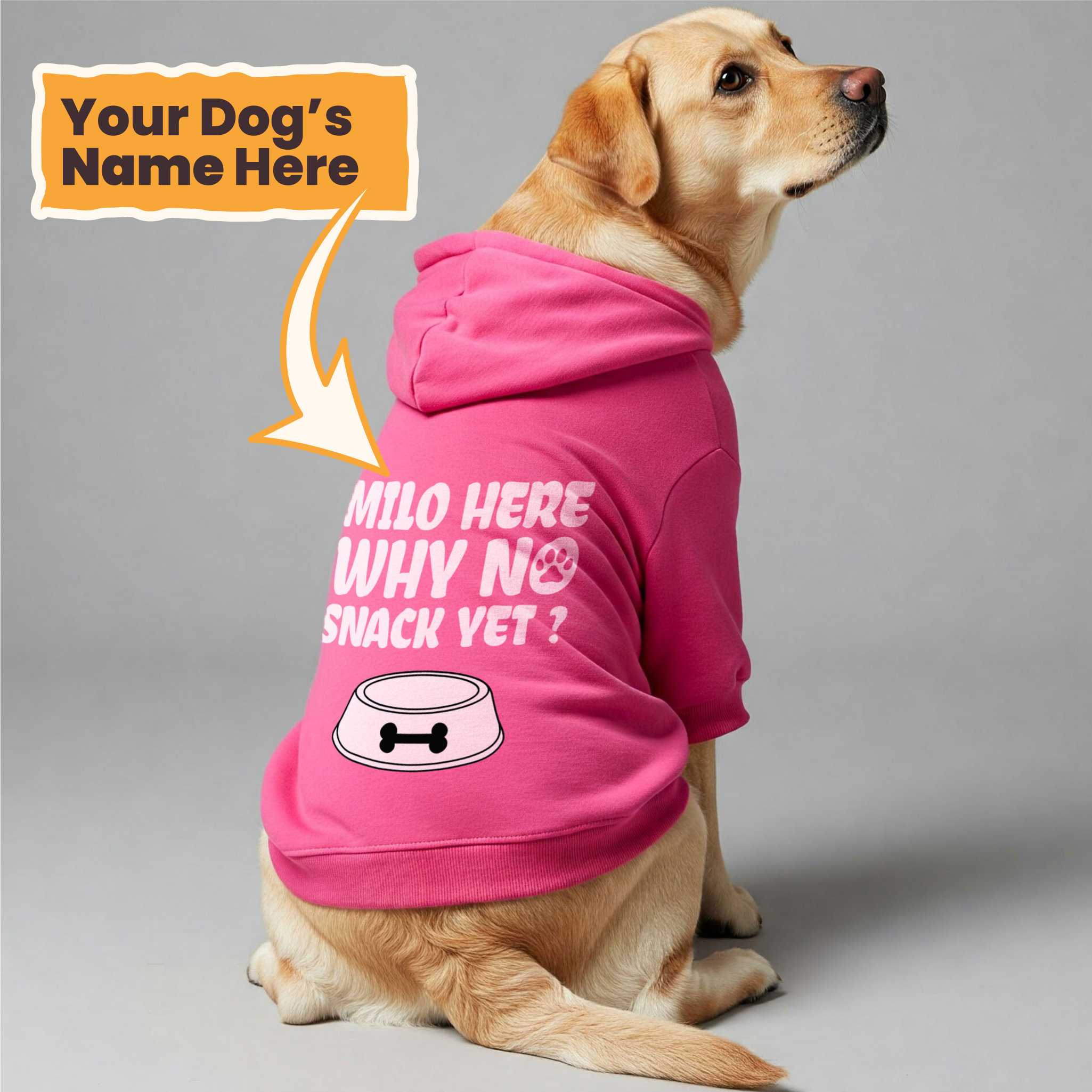 Milo  here... why no snack yet ? - personalized hoodie with your dog name – dog hoodie – dog clothes