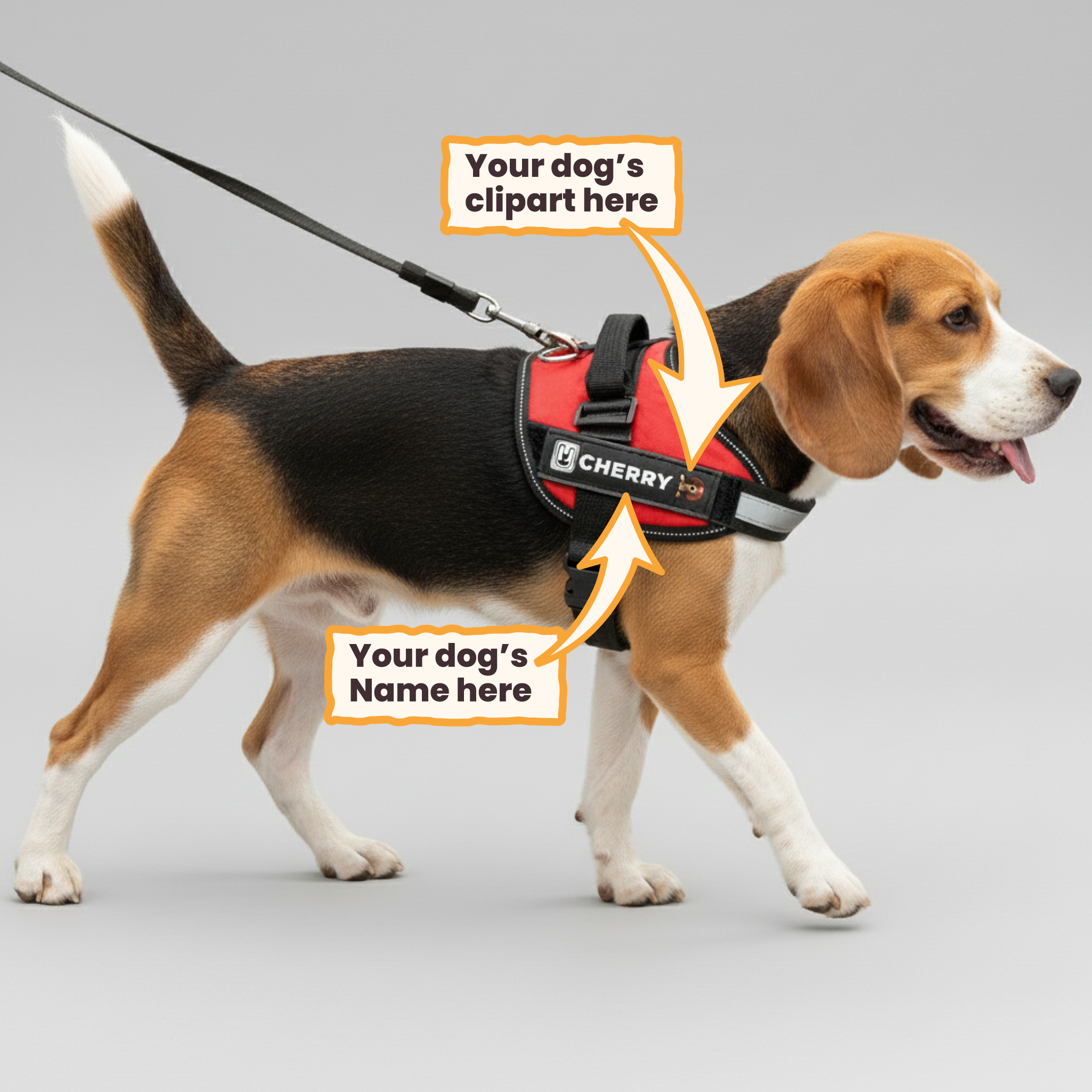 Thad - Personalized Dog Harness