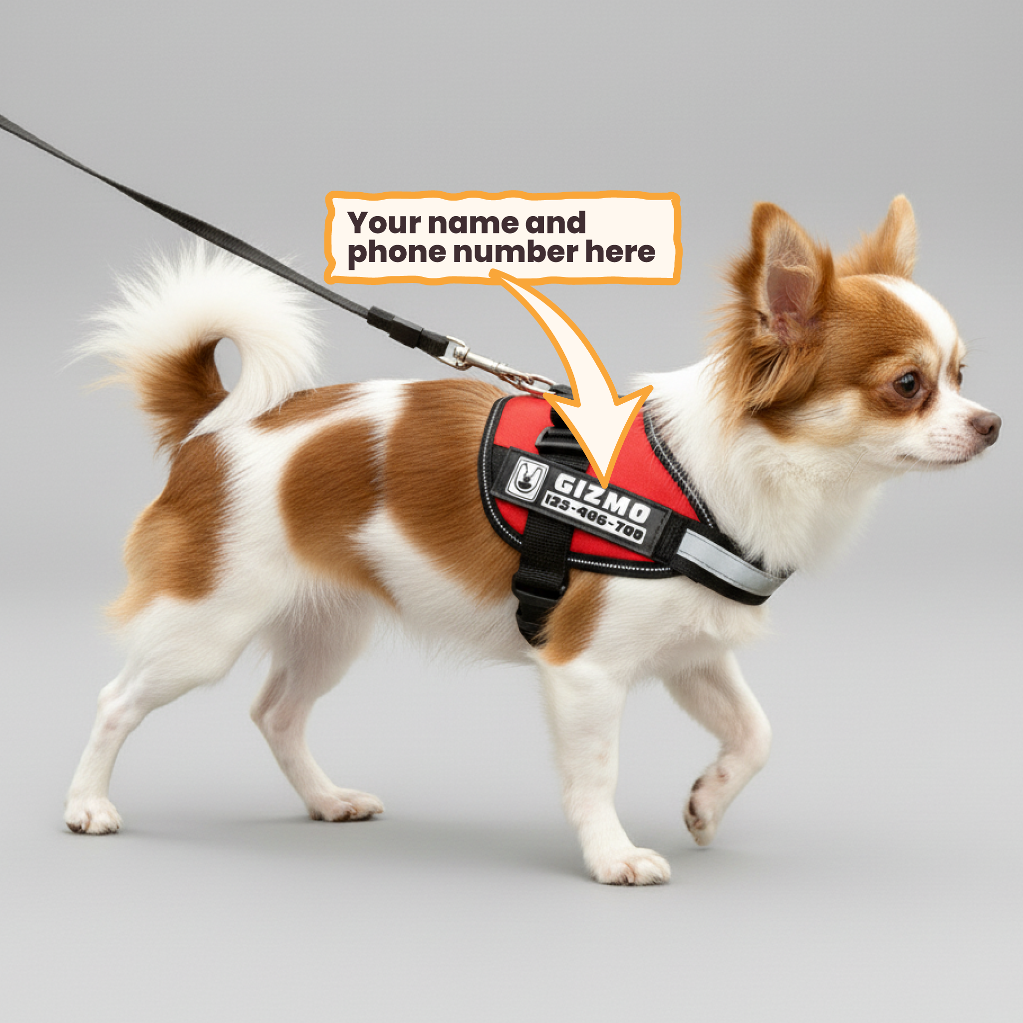 Apollo - Personalized Dog Harness