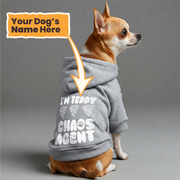 Im TEDDY - chaos agent  - personalized hoodie with your dog name – dog hoodie – dog clothes