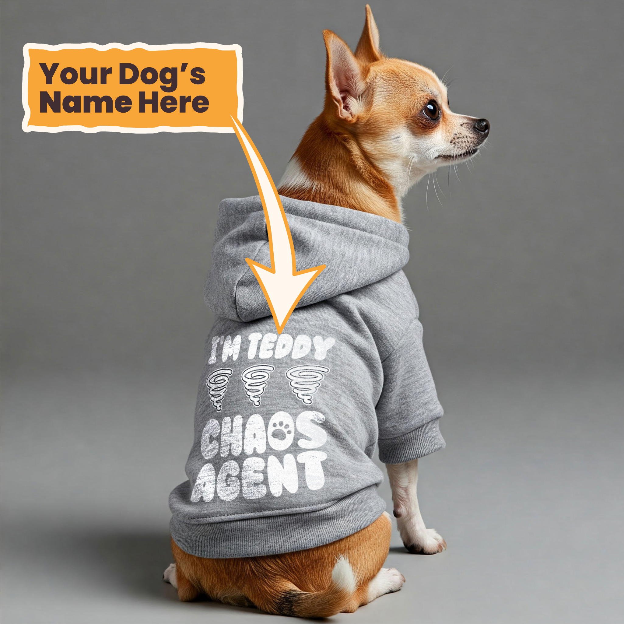 Im TEDDY - chaos agent  - personalized hoodie with your dog name – dog hoodie – dog clothes