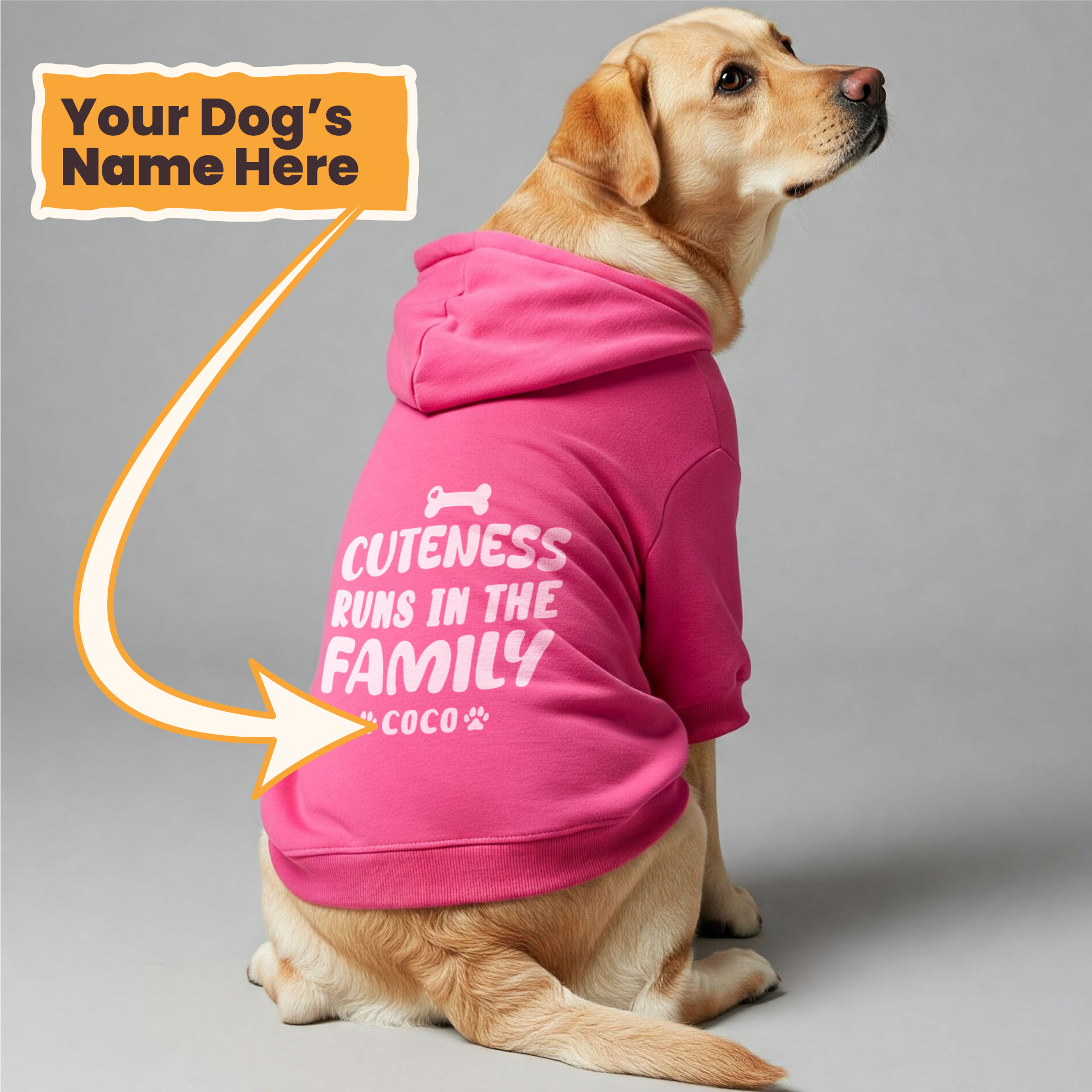 Cuteness Runs in the Family - personalized hoodie with your dog name – dog hoodie – dog clothes