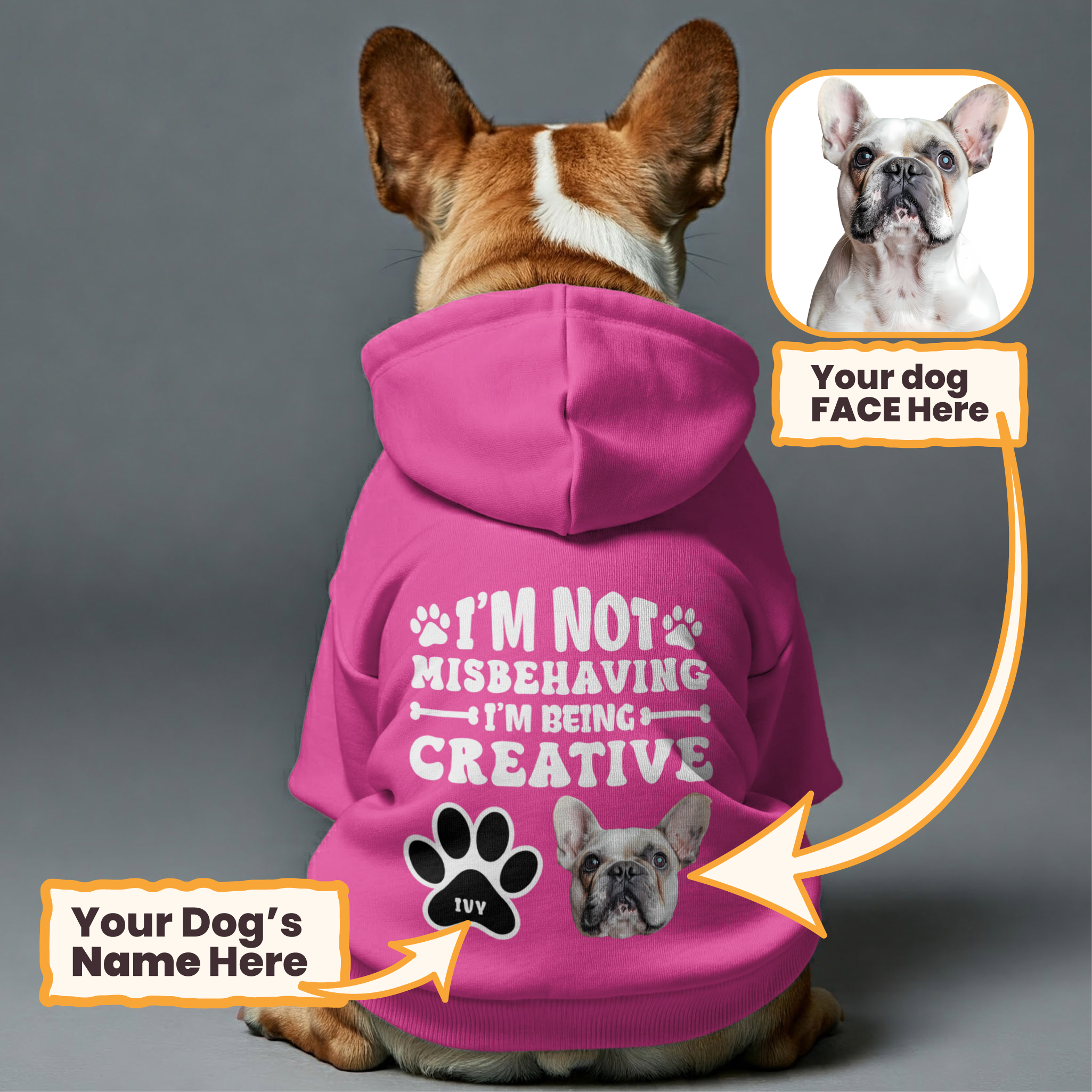 I’m not misbehaving - Personalized hoodie with your dog’s name and Face– dog hoodie – dog clothes