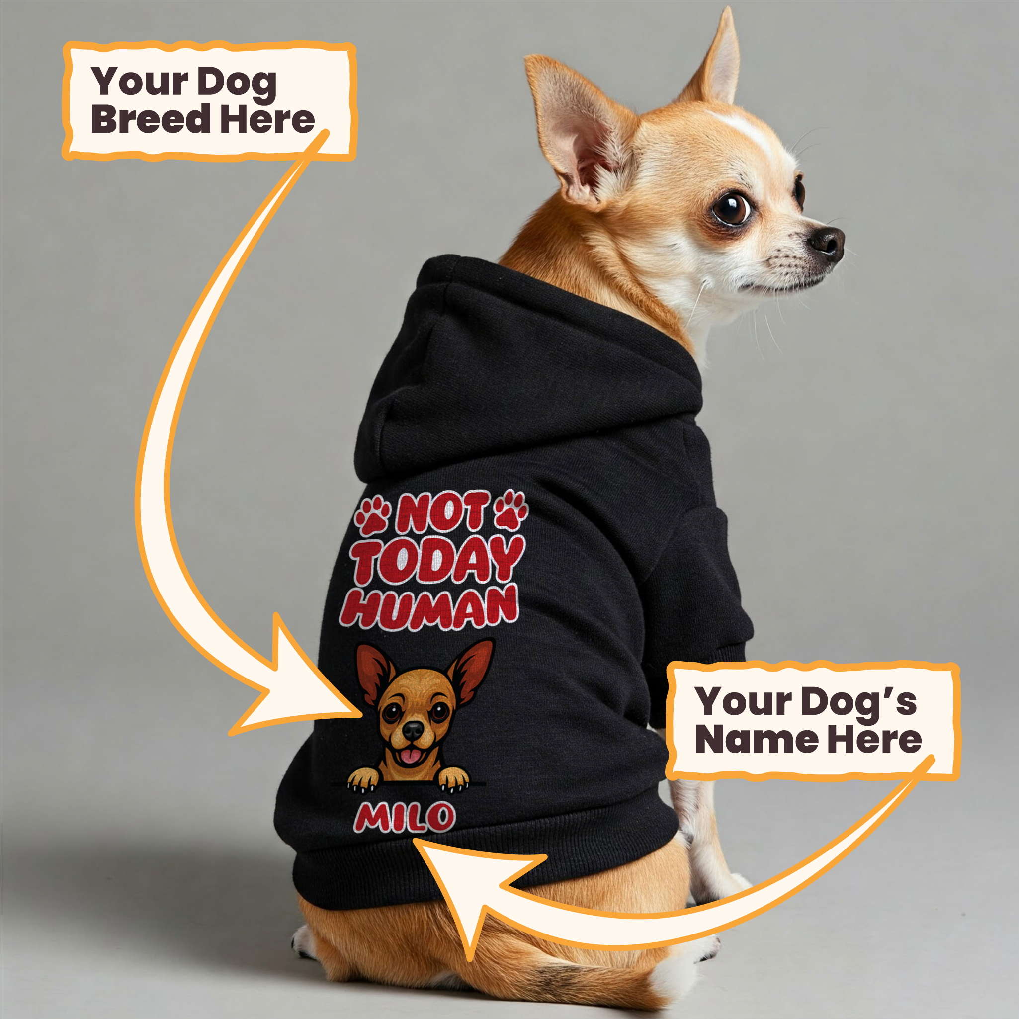 NOT TODAY HUMAN- personalized hoodie with your dog’s name and breed – dog hoodie – dog clothes