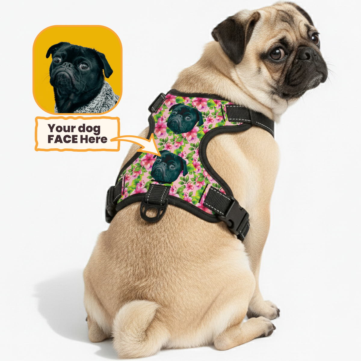 Dog wearing a personalized custom-name harness