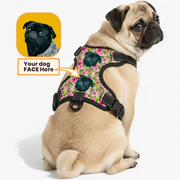 Dog wearing a personalized custom-name harness