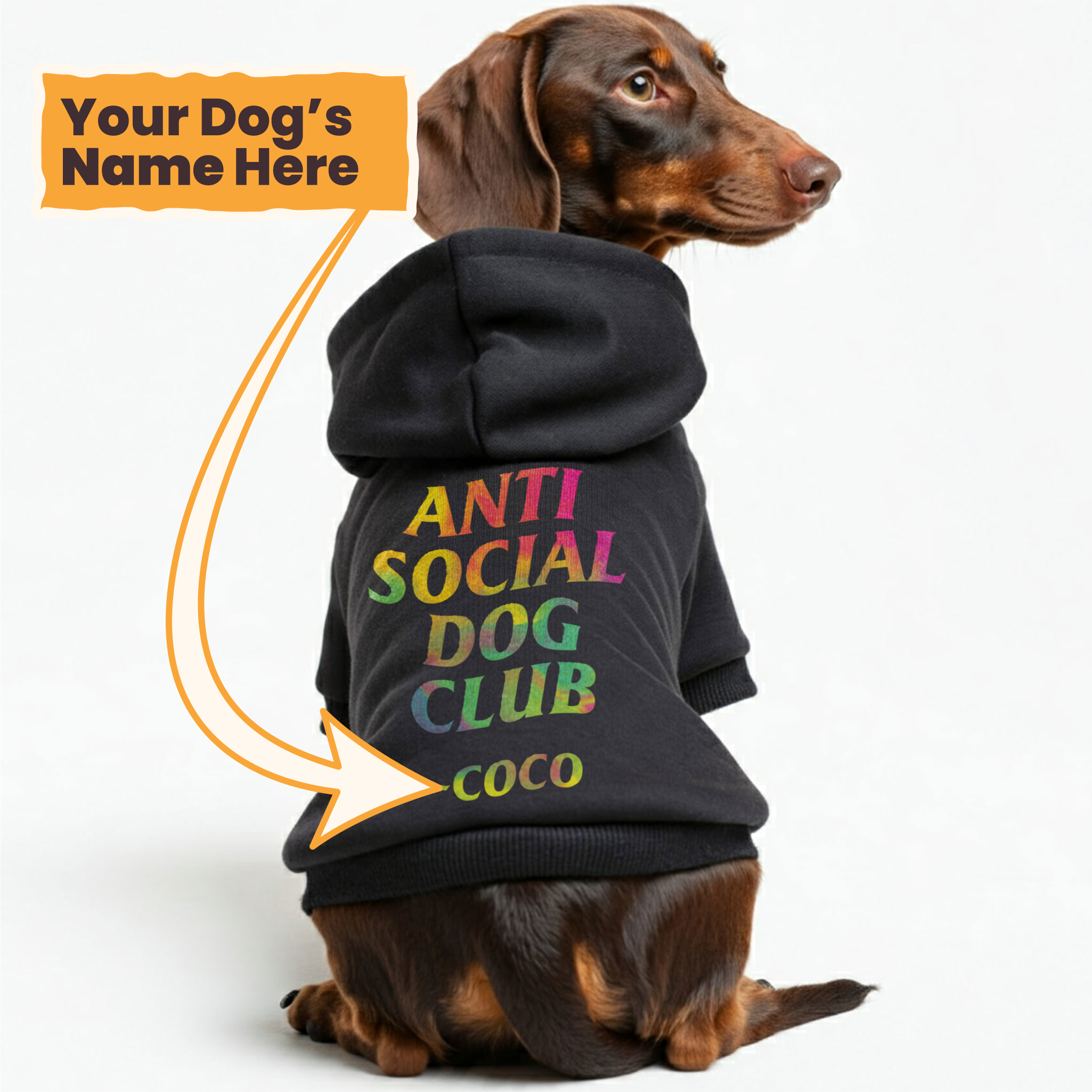 Anti-Social Dog Club - personalized hoodie with your dog name – dog hoodie – dog clothes
