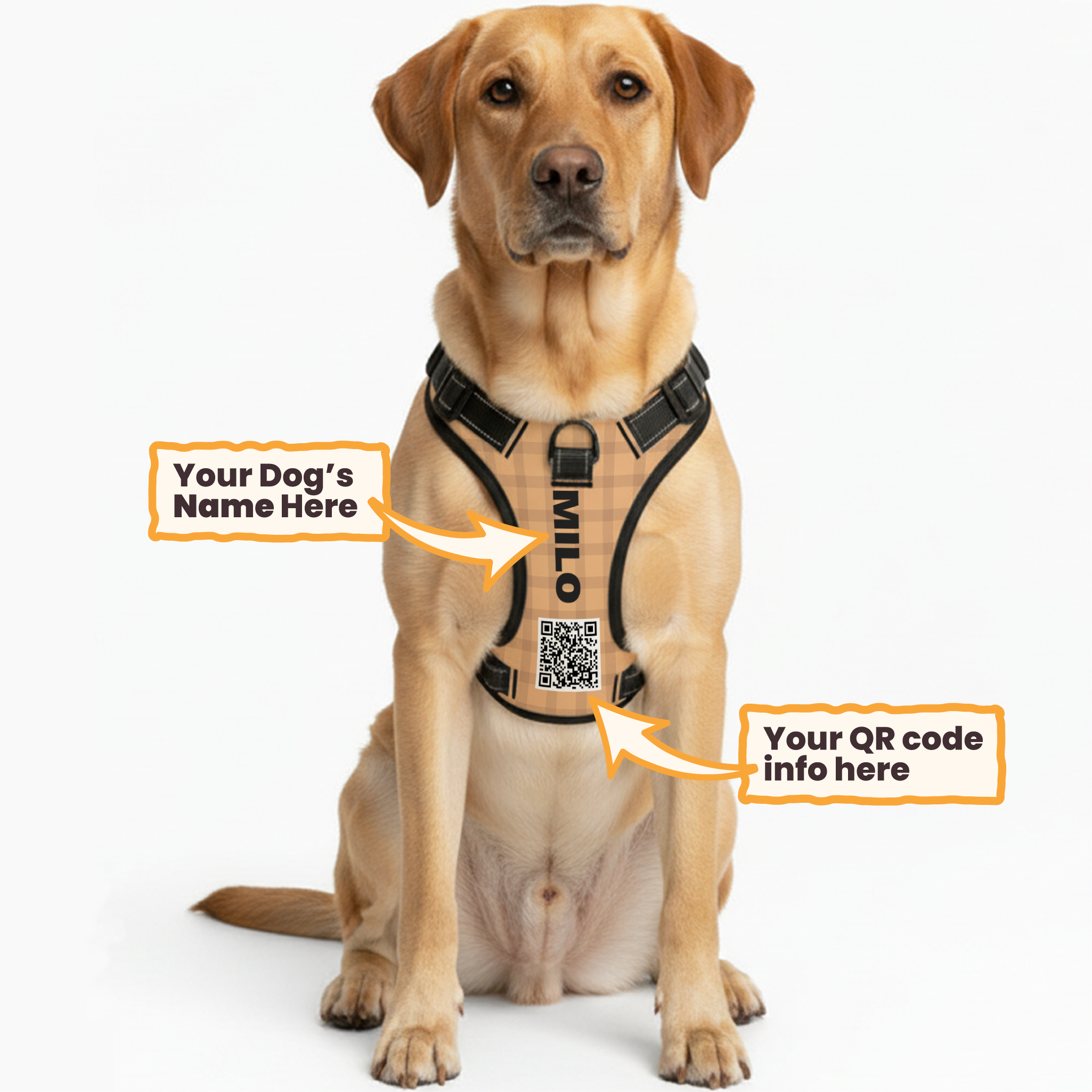 Apollo - Custom Dog harness