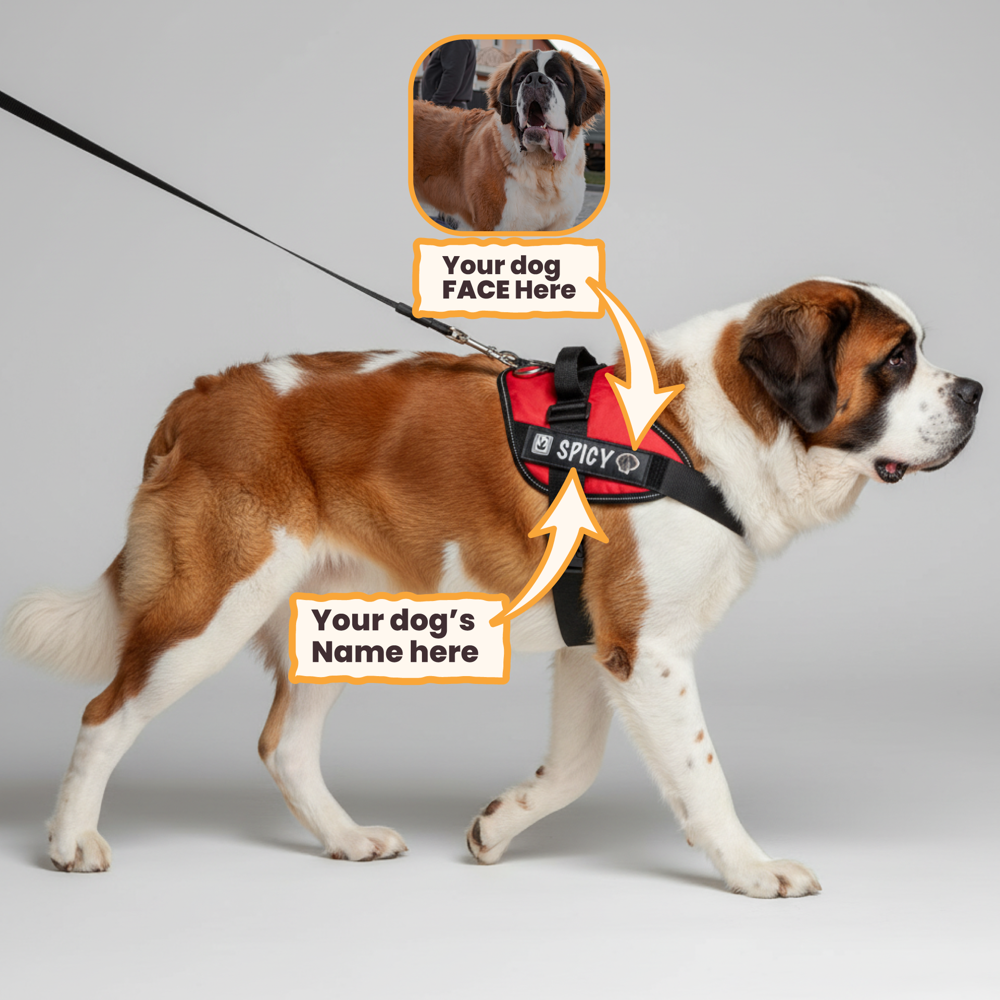 Victor - Personalized Dog Harness