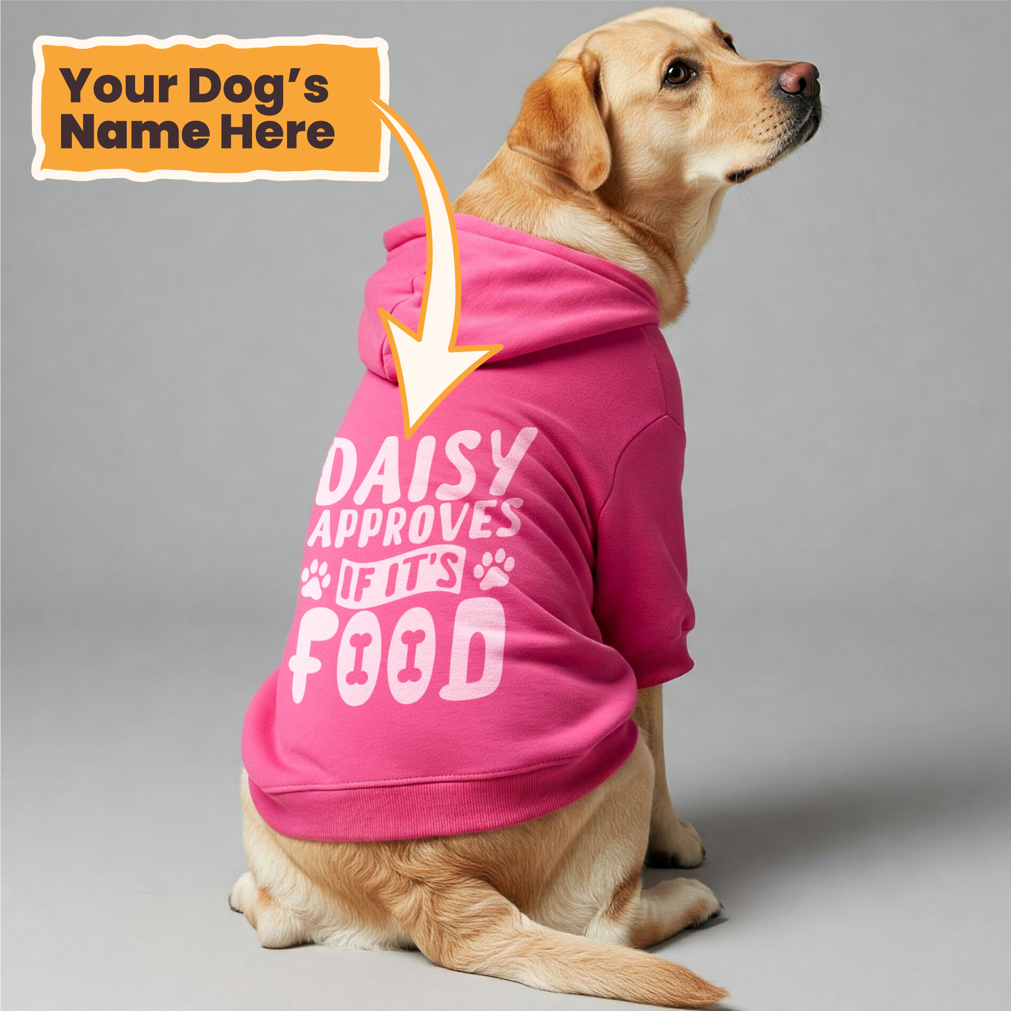Daisy approves - personalized hoodie with your dog name – dog hoodie – dog clothes