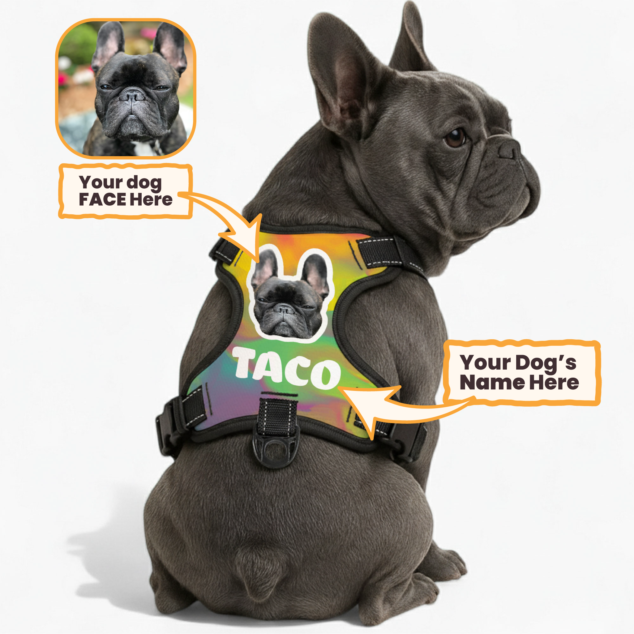 Titania - Custom Dog harness