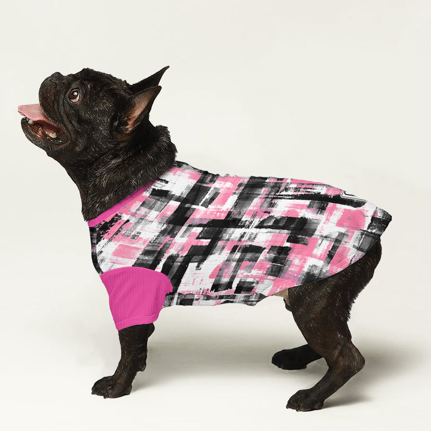 sonny - Dog Wool Sweater