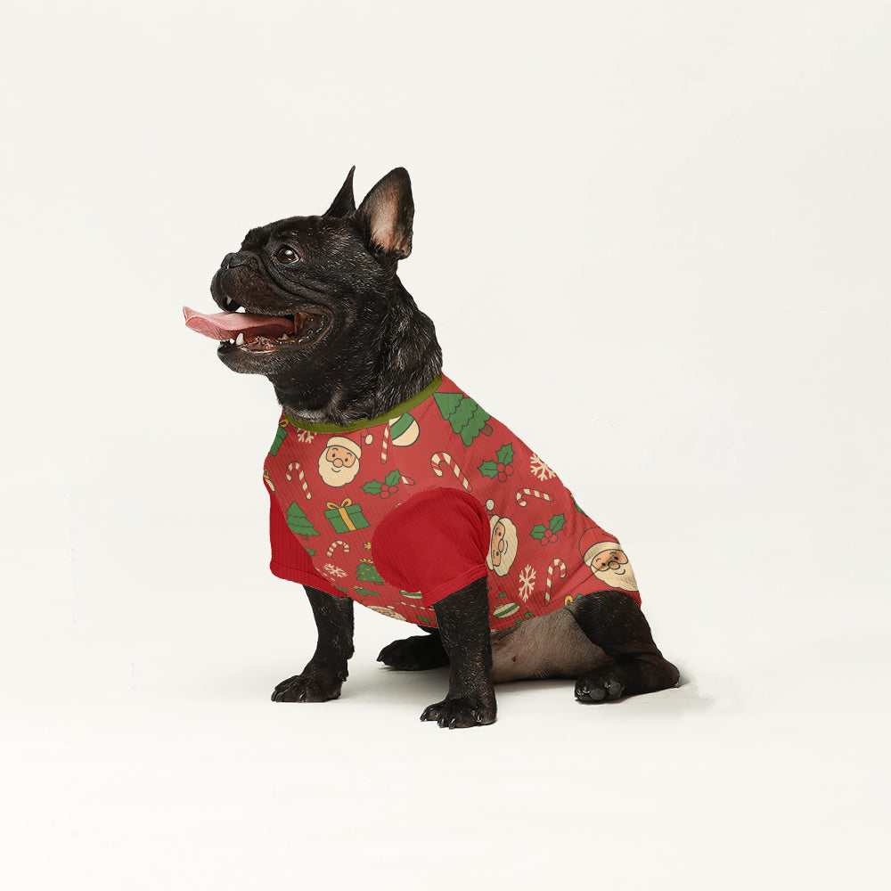 Ziggy- Dog Wool Sweater
