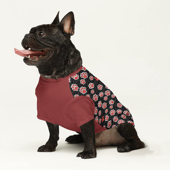 Angel - Dog Wool Sweater