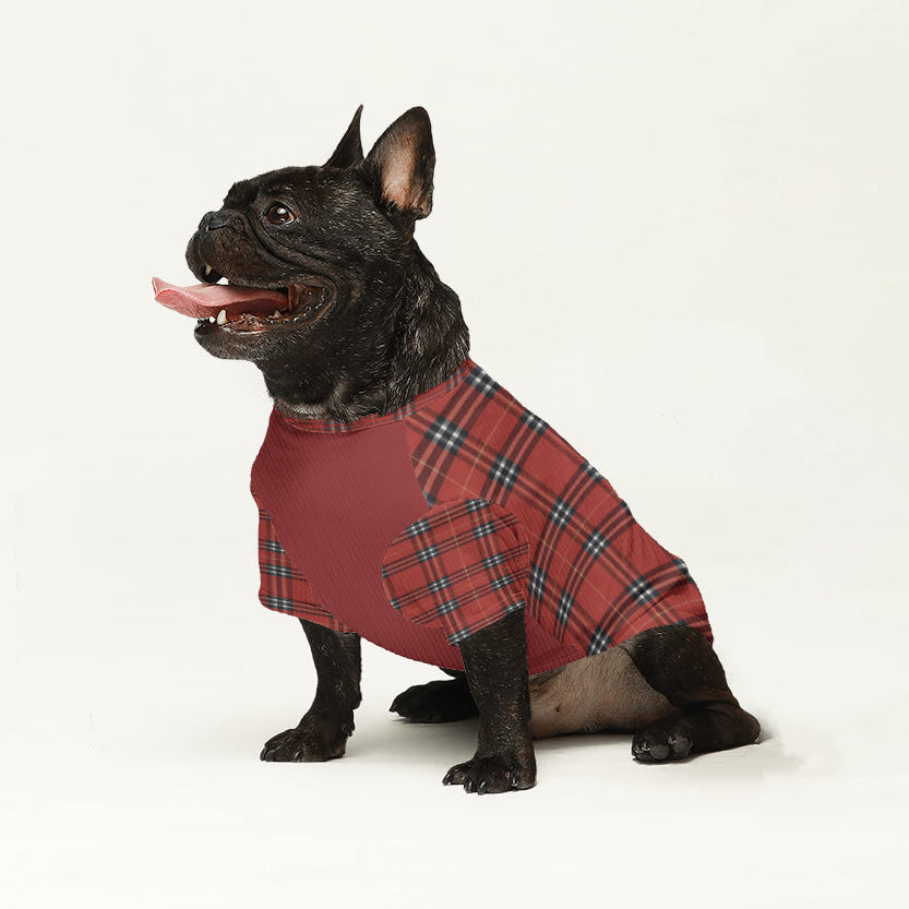 Zoey - Dog Wool Sweater