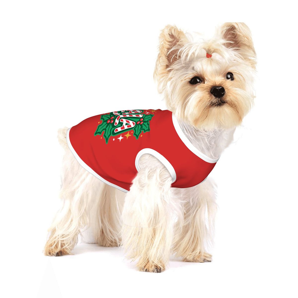 Fa La La Small Dog Shirt
