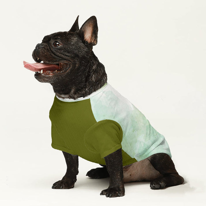 Loui - Dog Wool Sweater