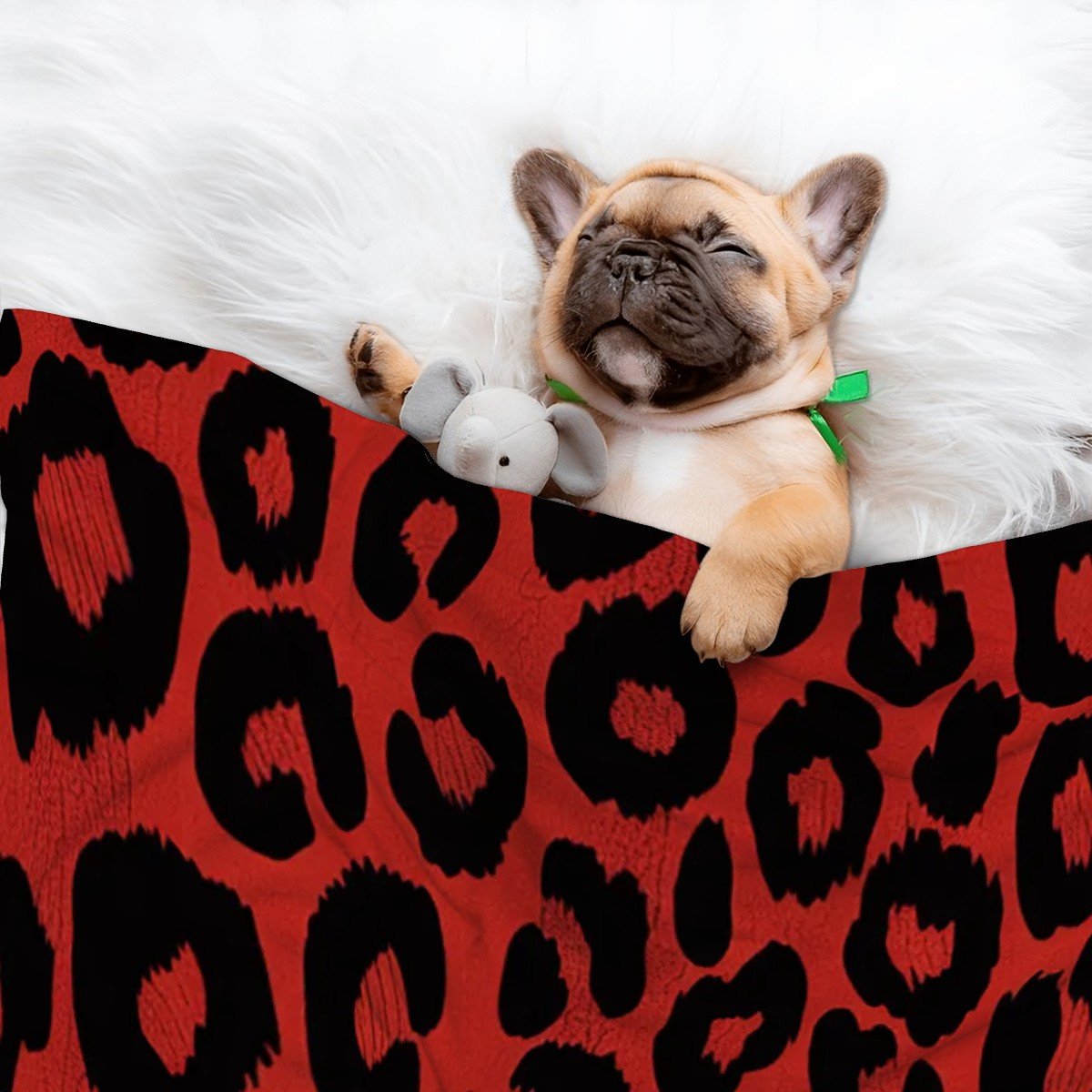 Willow - Cozy Dog Blanket