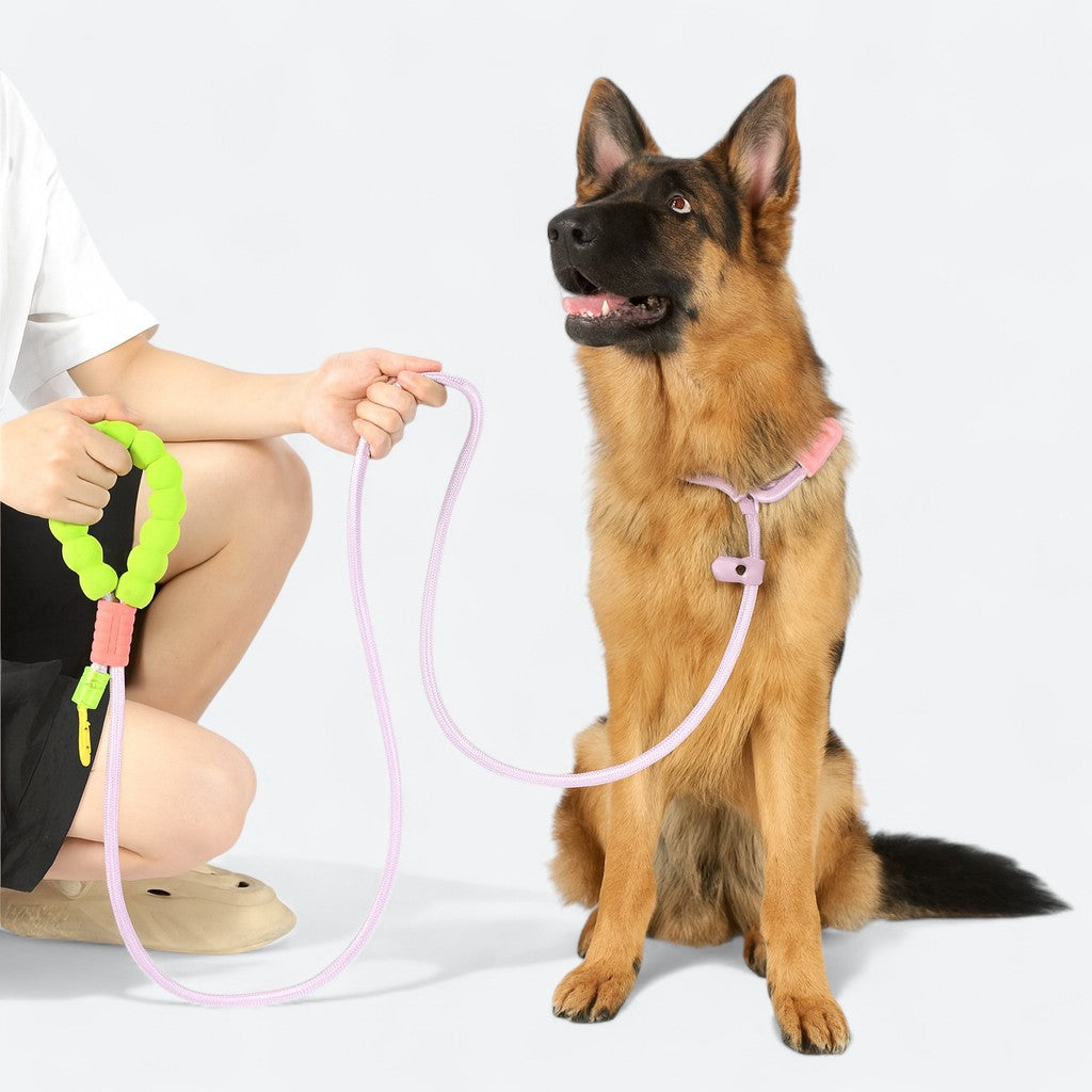 Adjustable Cloud Bubble Dog Leash