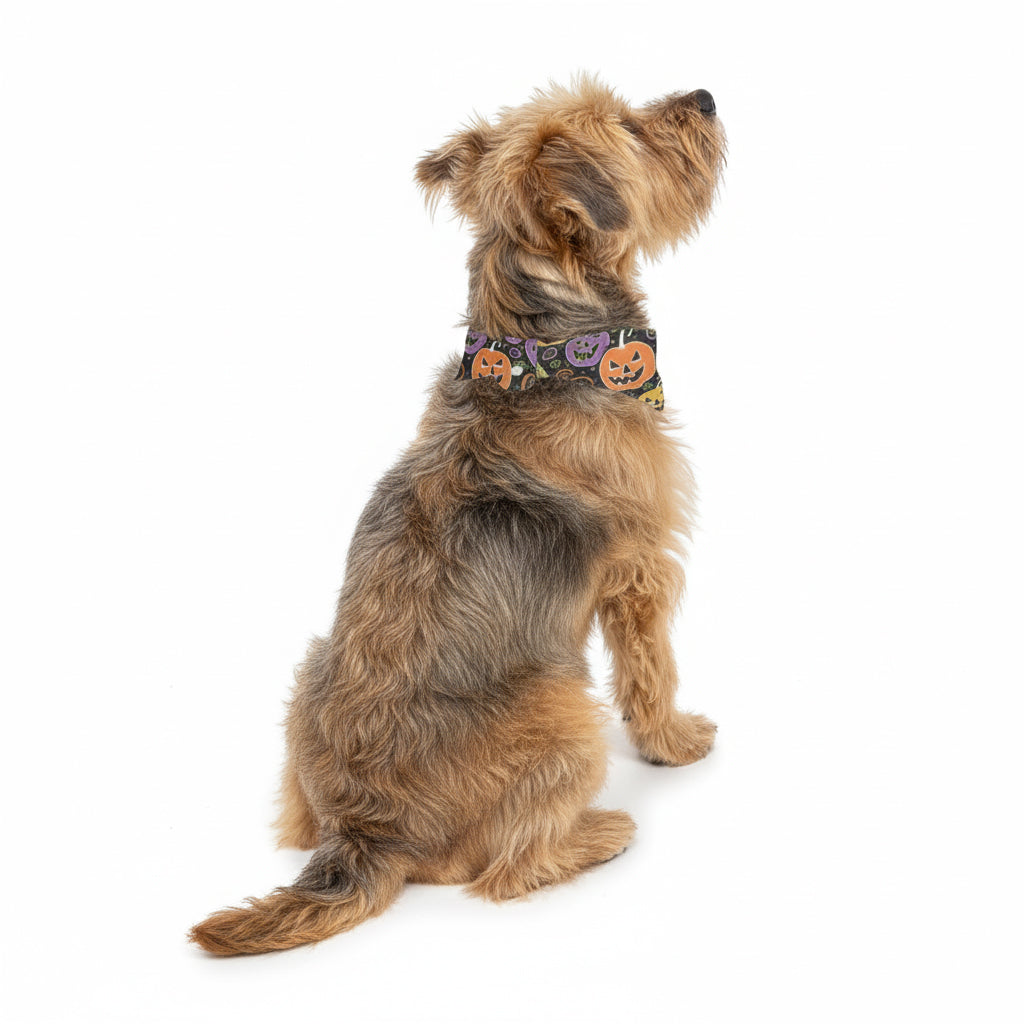 Elsa - Stylish Dog Bandana