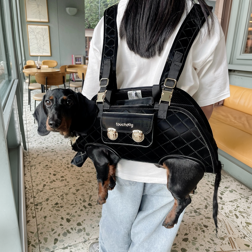 Luxury Horizontal Dog Backpack Carrier