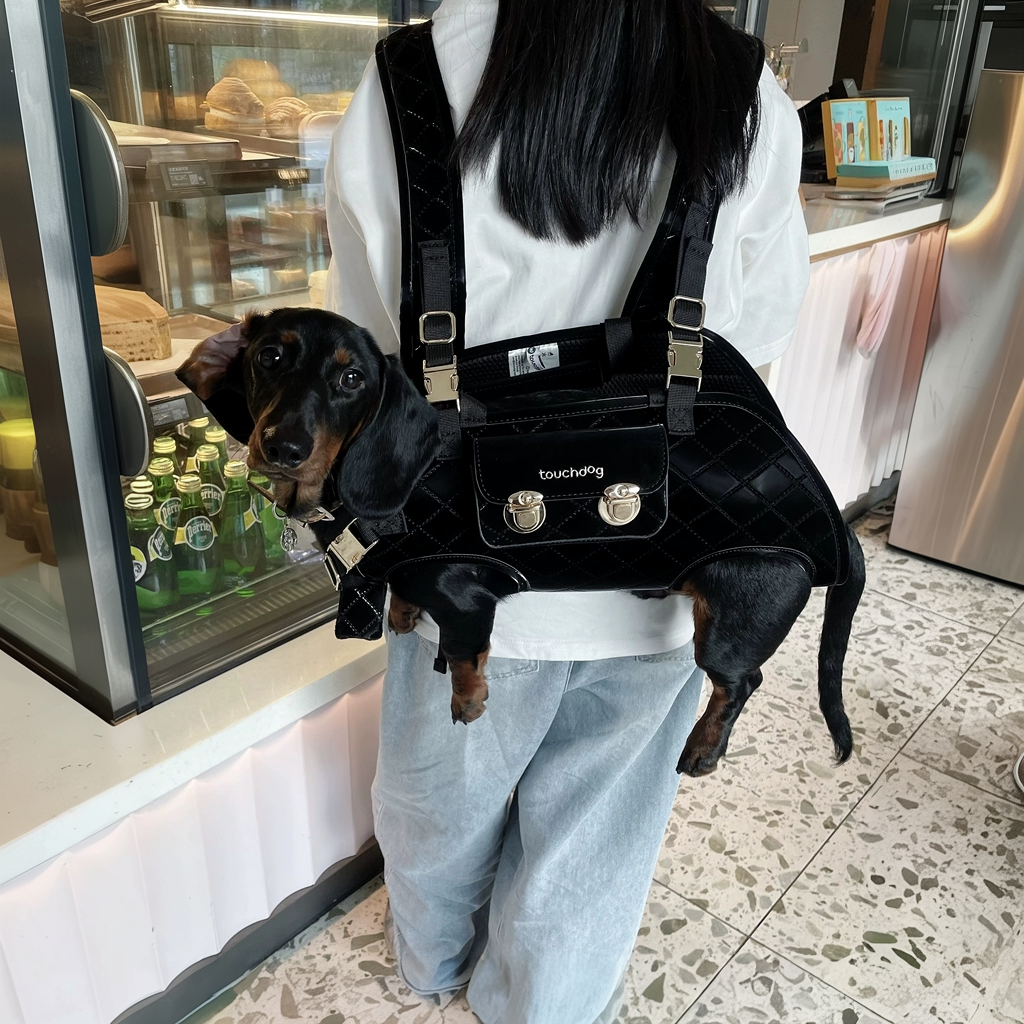 Luxury Horizontal Dog Backpack Carrier
