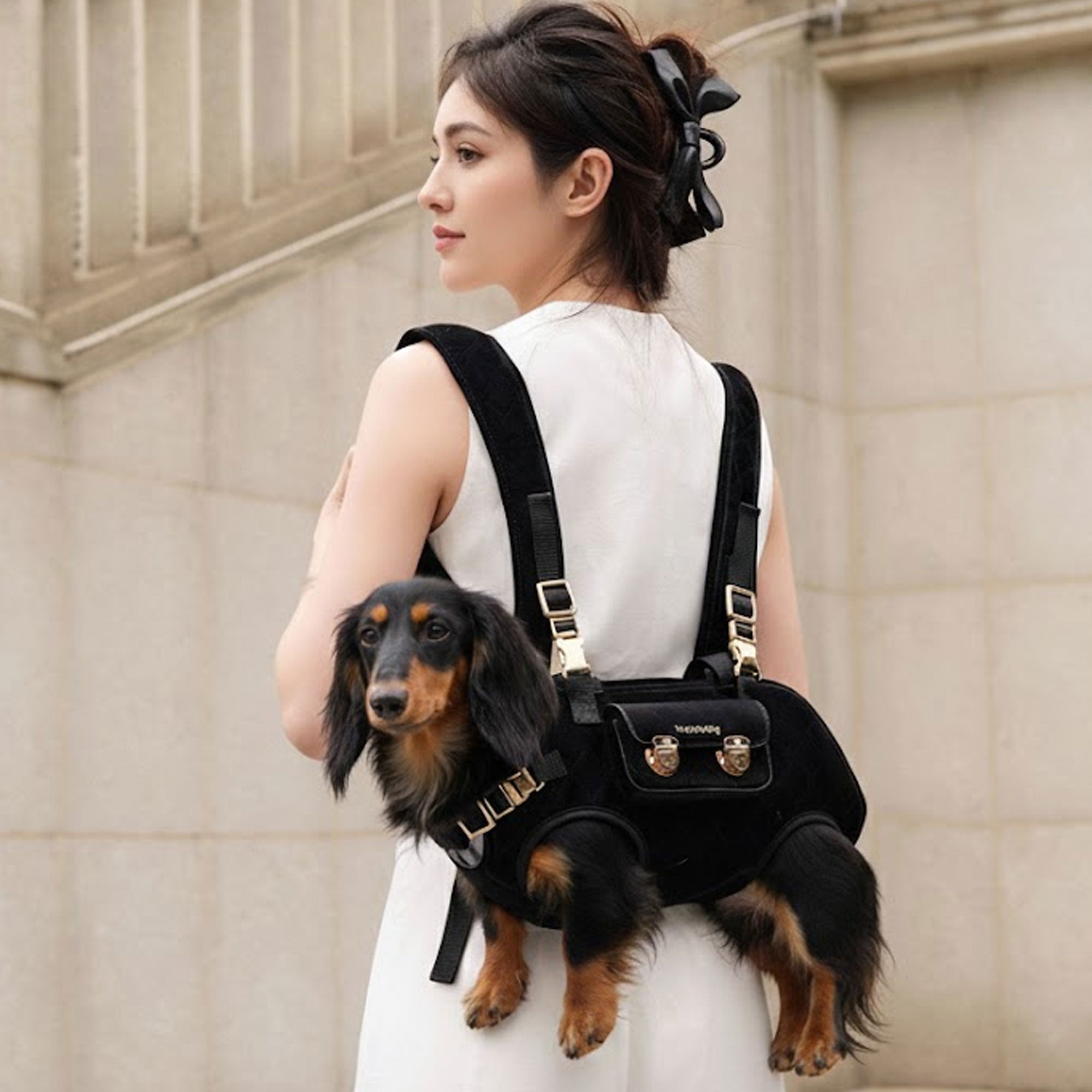 Luxury Horizontal Dog Backpack Carrier