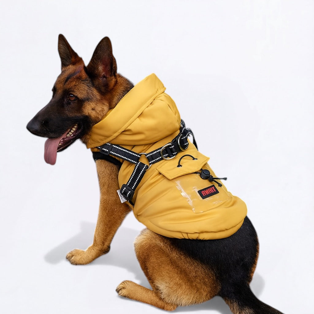 Leash-Integrated Winter Dog Jacket