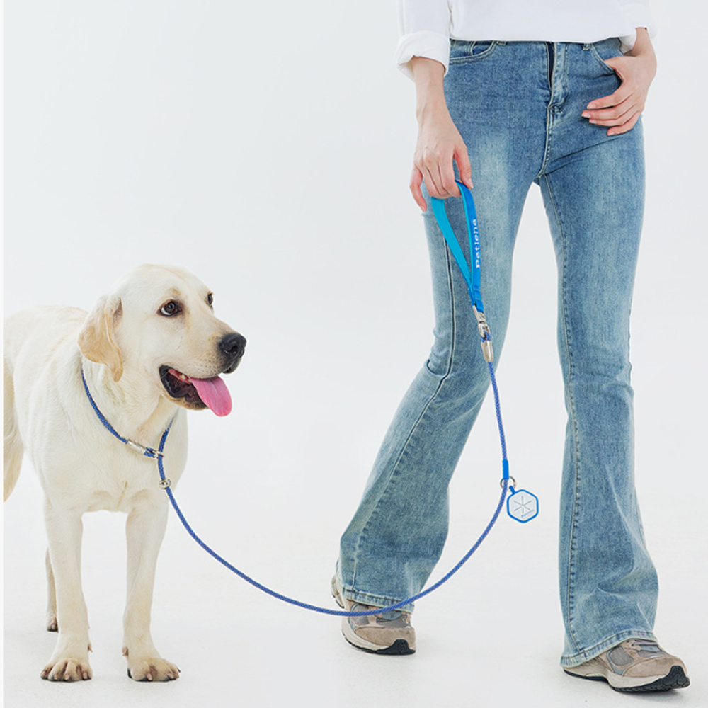 Professional Rope Dog Leash with Collar