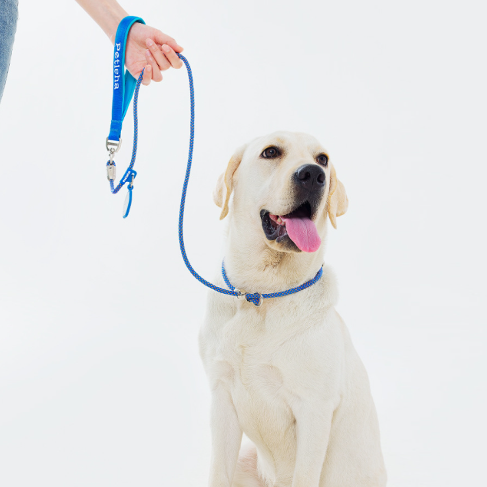 Professional Rope Dog Leash with Collar