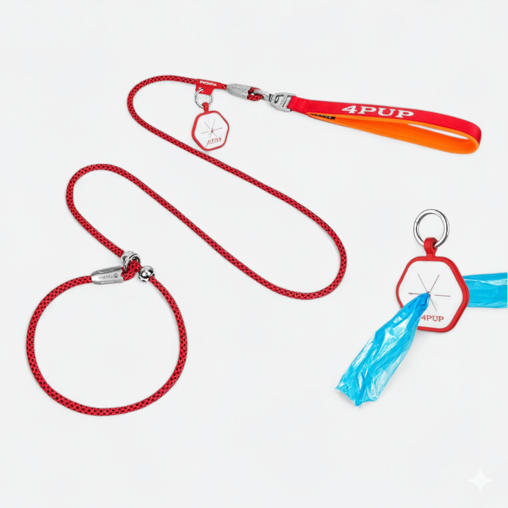Professional Rope Dog Leash with Collar