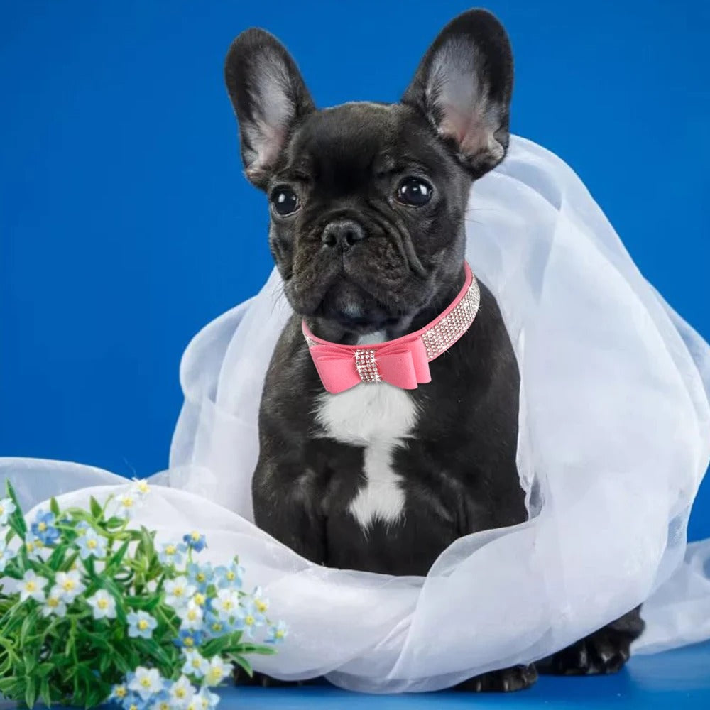 Luxury Rhinestone Bow Dog Collar Leash Set