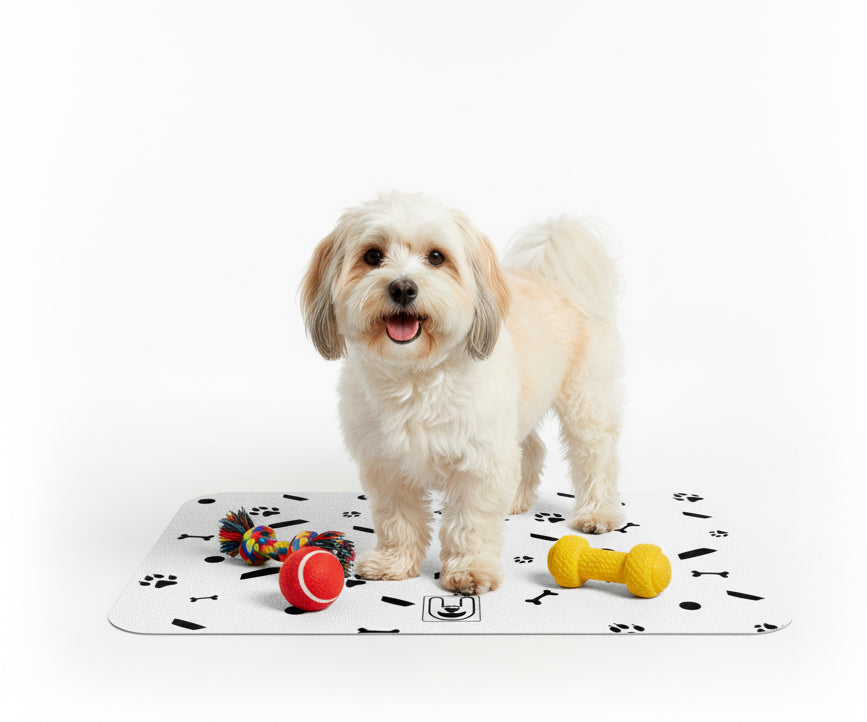 Vito - Dog Food Mat