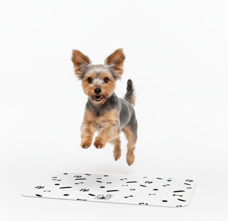 Hugo  - Dog Food Mat