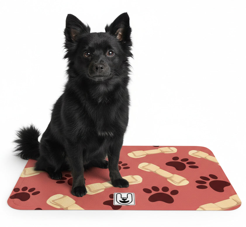 Lane - Dog Food Mat