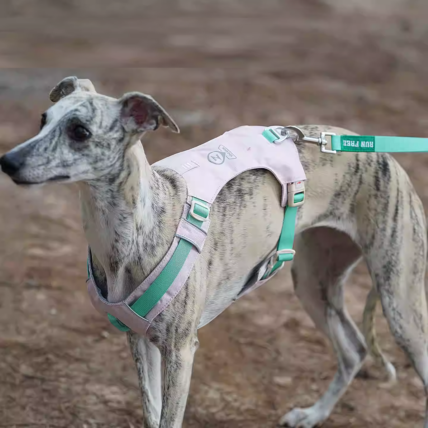 Reflective Adjustable Dog Harness Leash Set