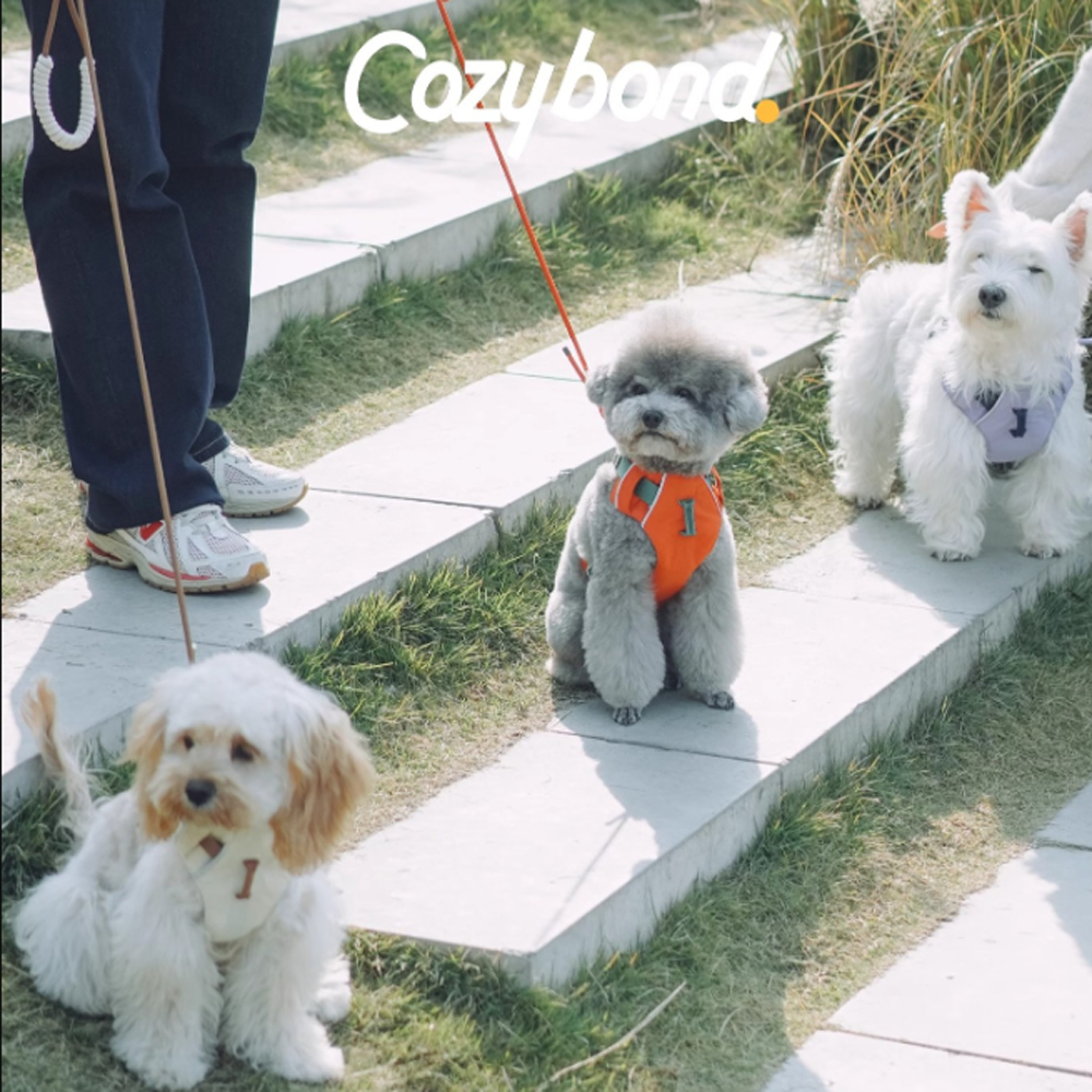 Lightweight No-Pull Dog Harness Leash Set