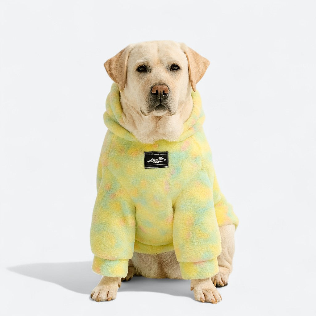 dog-mom-matching-hoodie.jpg
