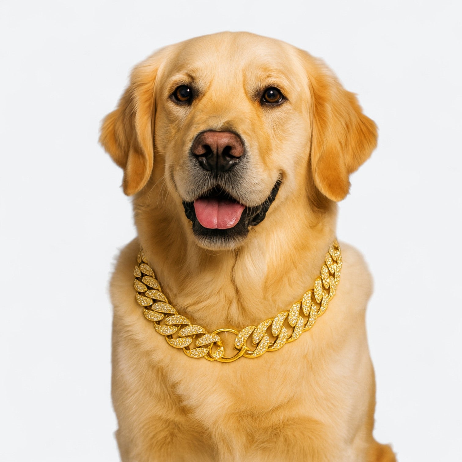 Diamond Inlay Dog Collar Necklace