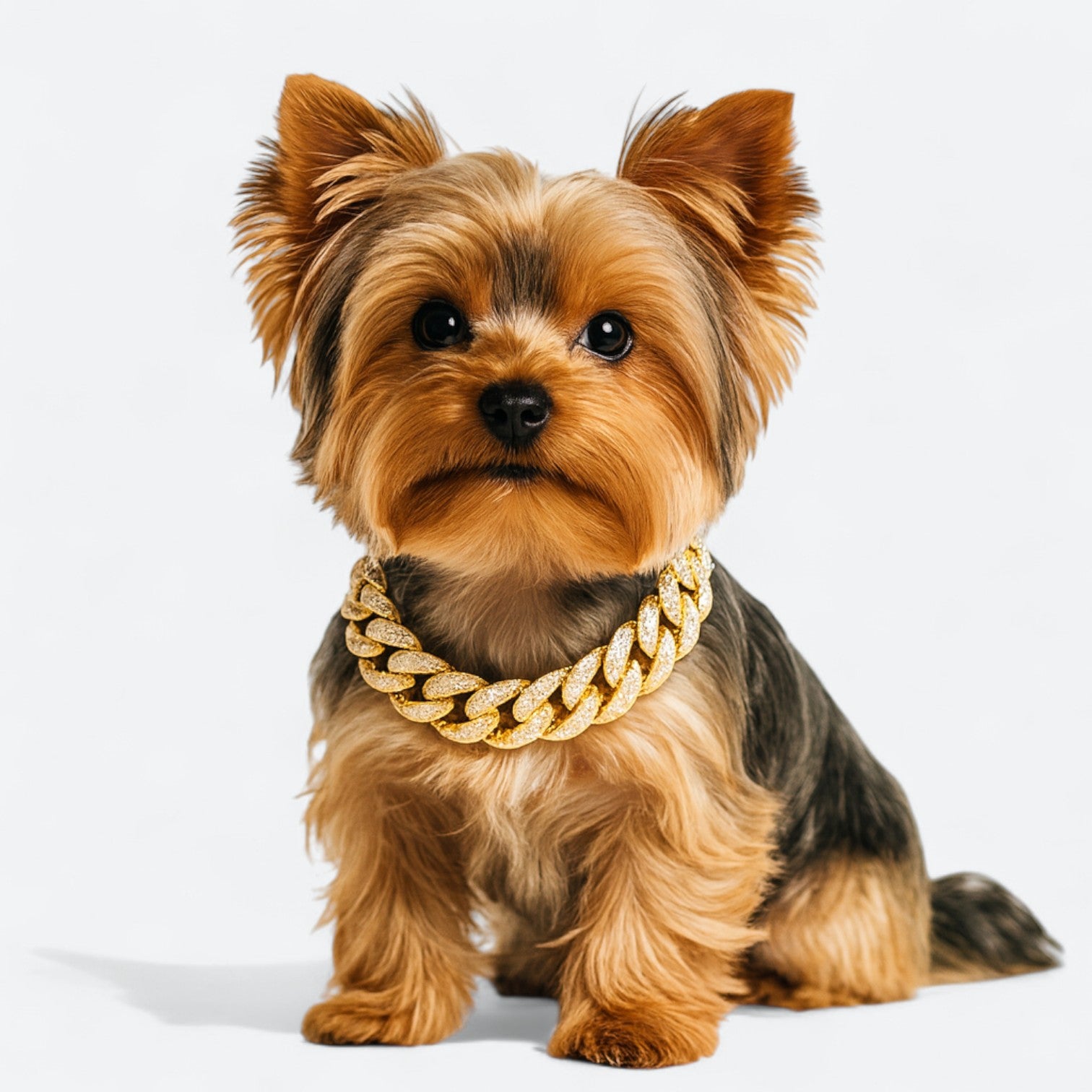 Diamond Inlay Dog Collar Necklace