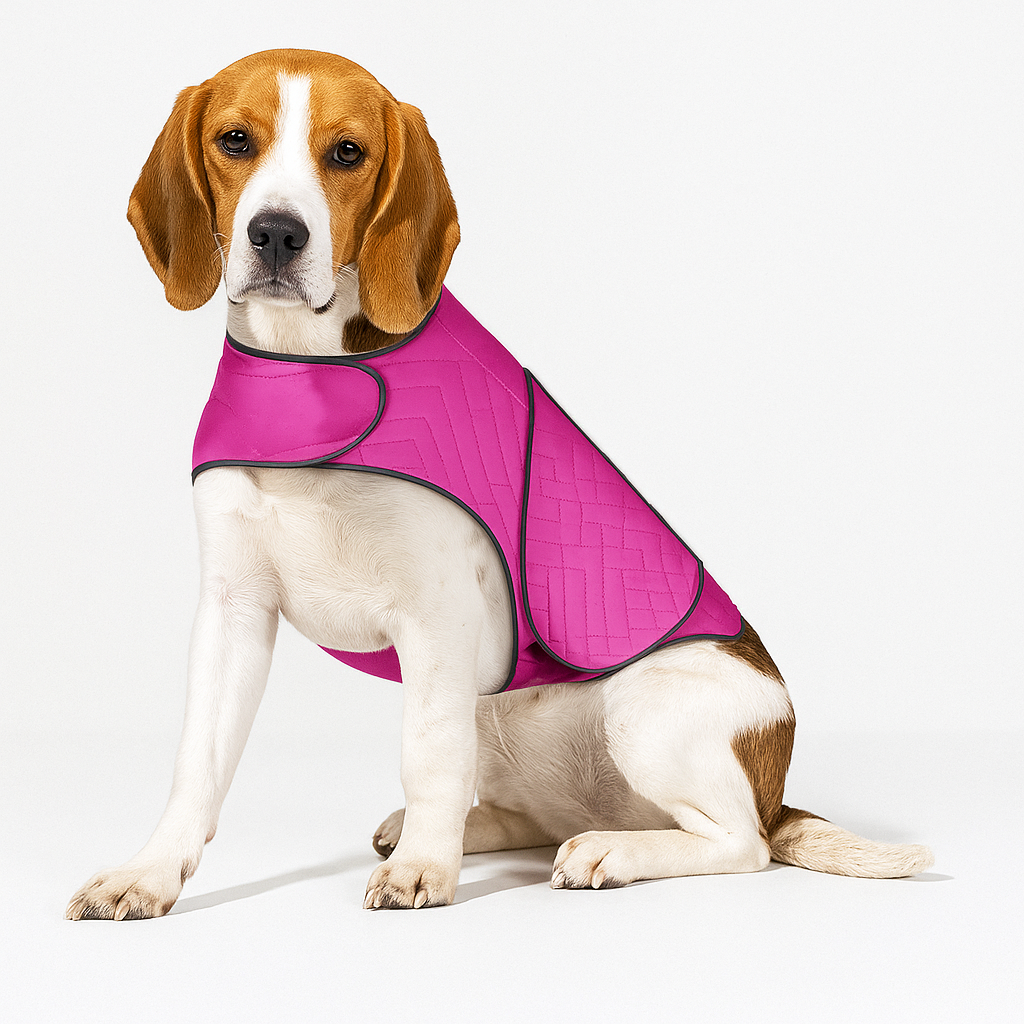 dog anxiety jacket​