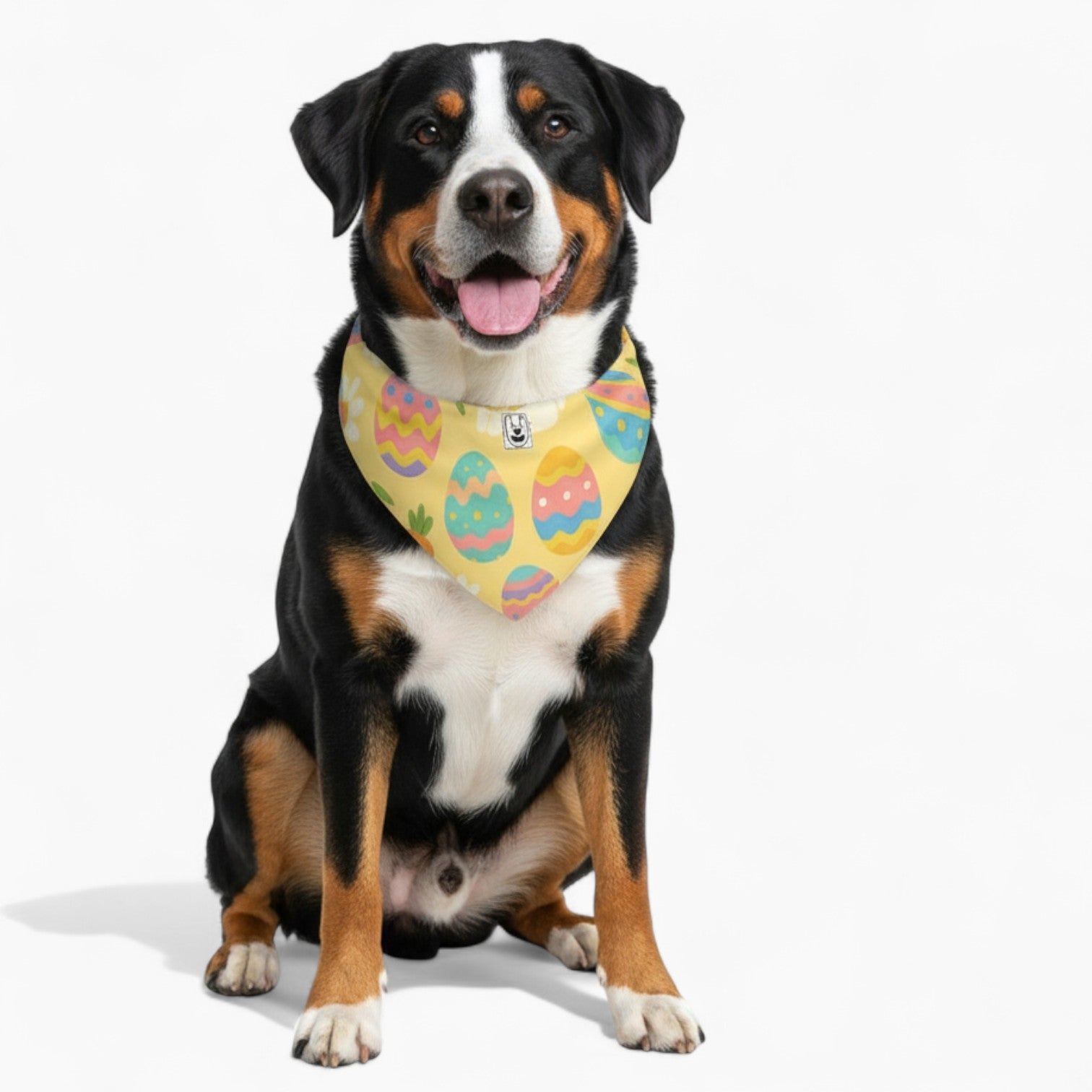 Inka - Stylish Dog Bandana