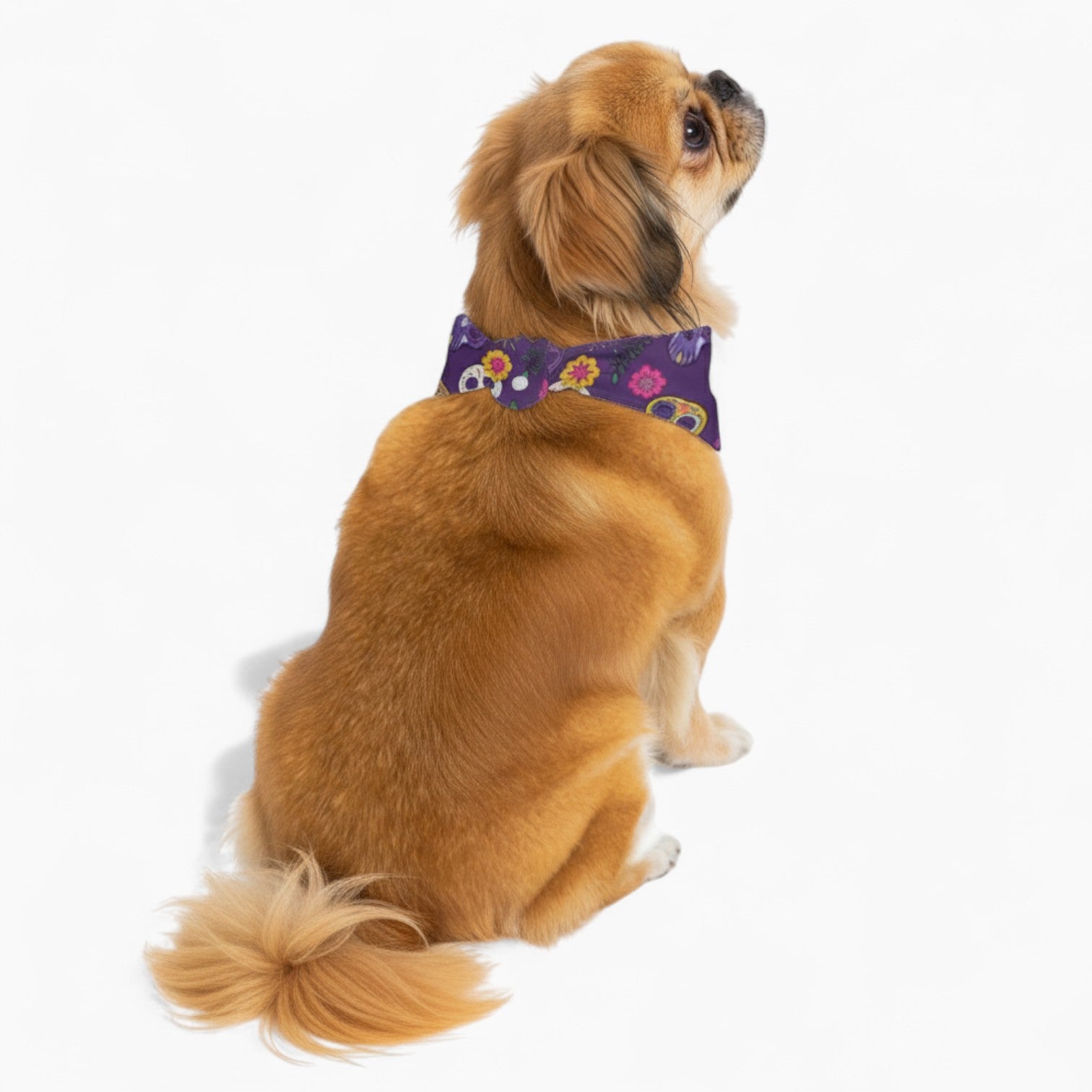 Remy - Stylish Dog Bandana