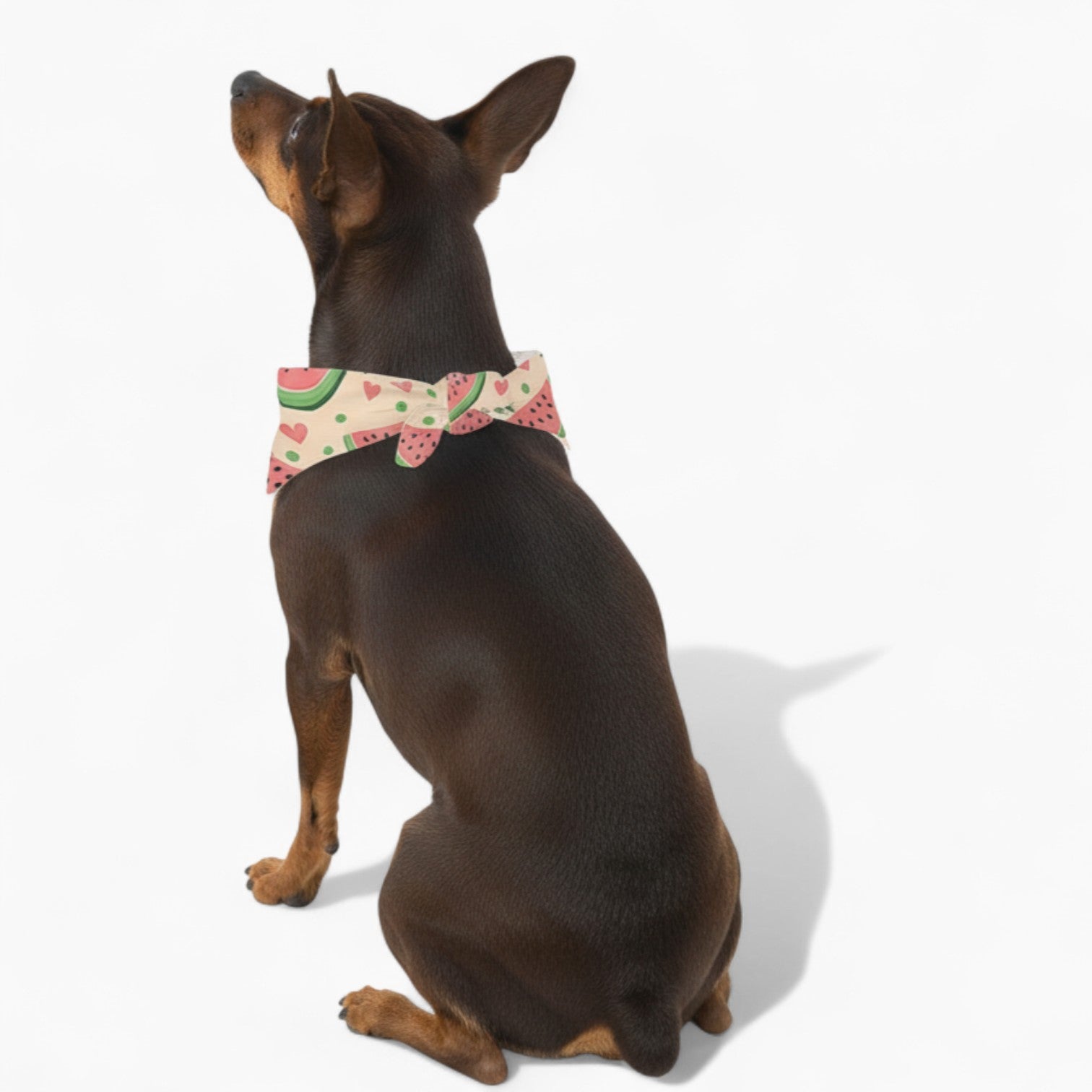 Klara - Stylish Dog Bandana