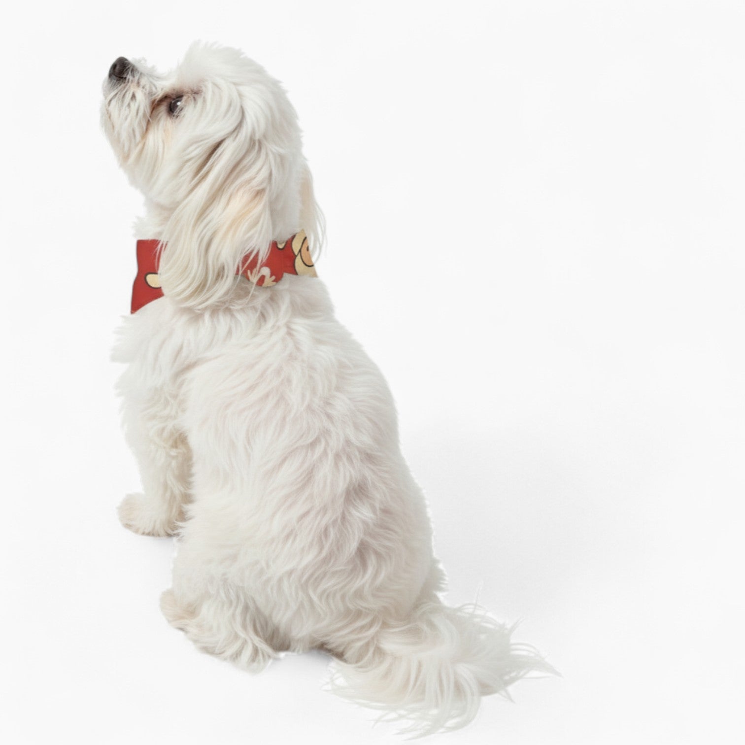 Gustav- Stylish Dog Bandana