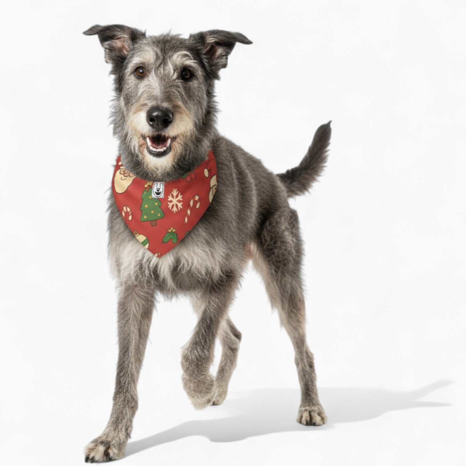 Gustav- Stylish Dog Bandana