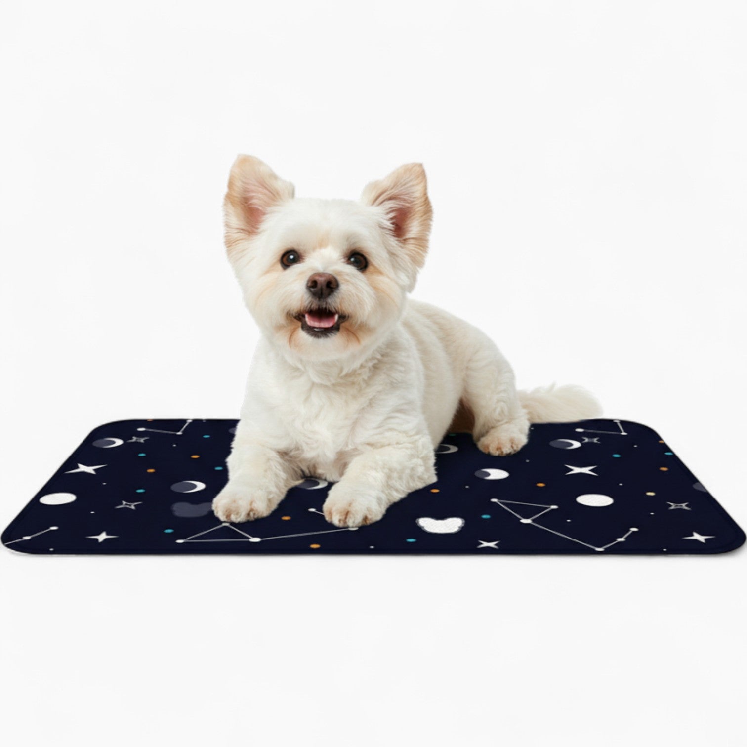 Milo - Dog Food Mat