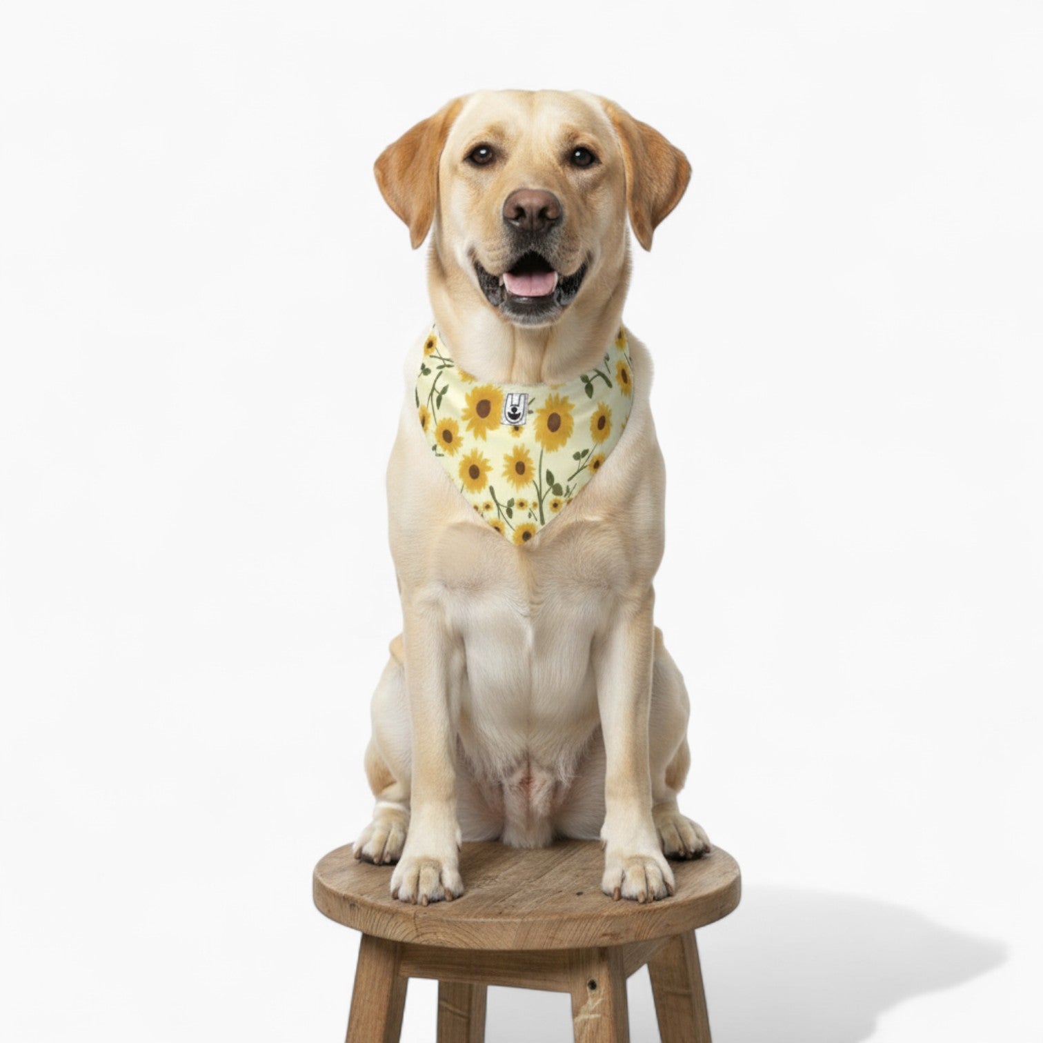 Ziggy - Stylish Dog Bandana