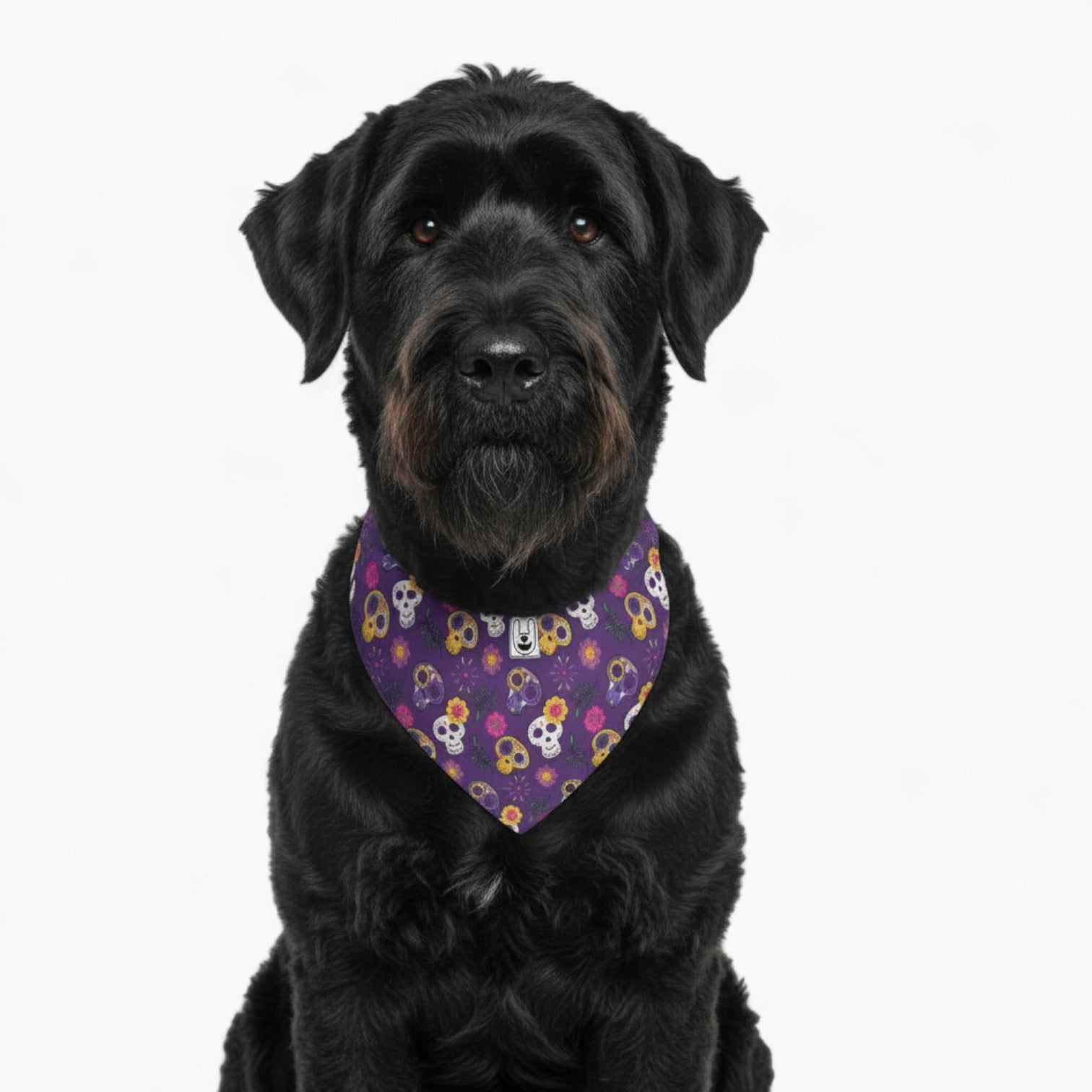Remy - Stylish Dog Bandana