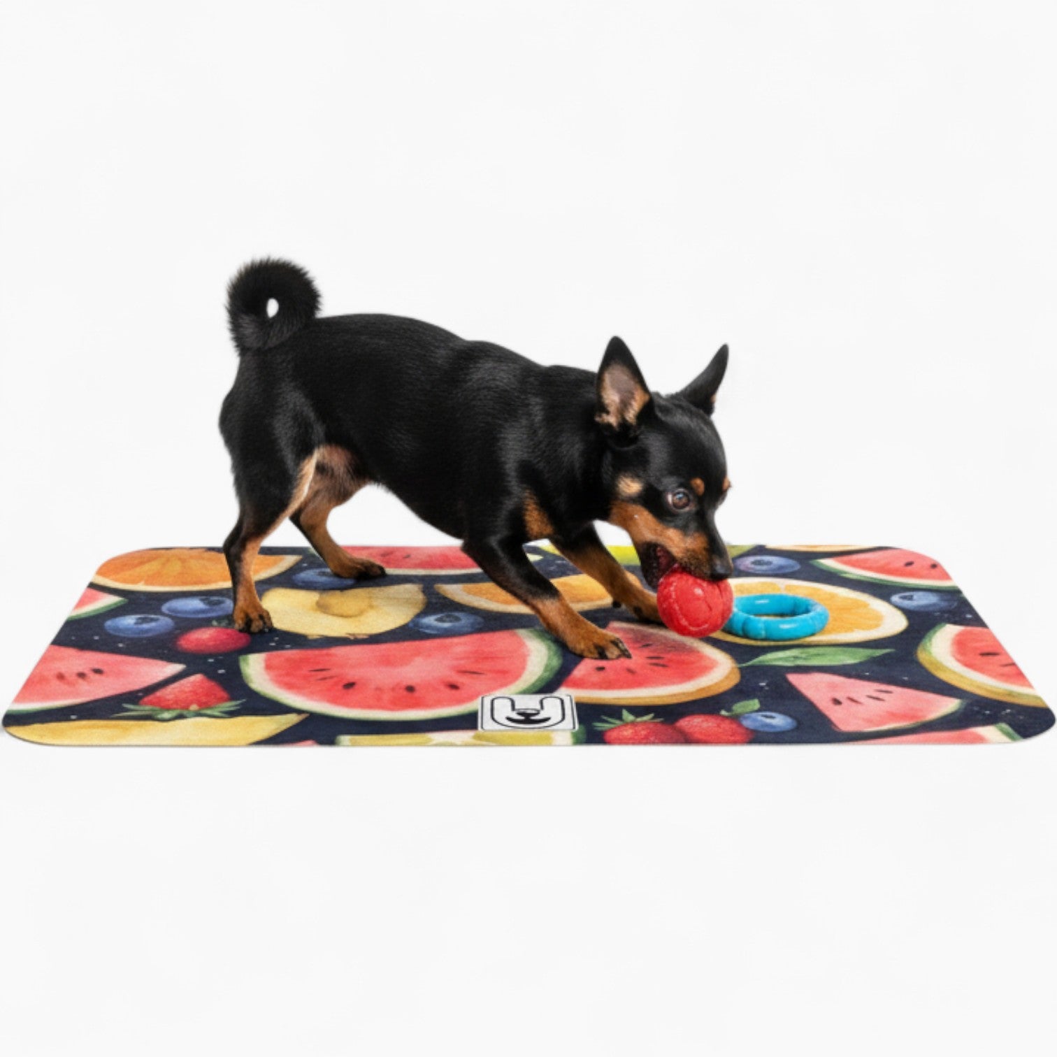 Molt - Dog Food Mat